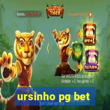 ursinho pg bet